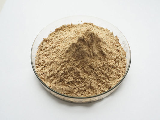 40% 80% Soybean Extract Powder Soy Isoflavones Herbal Extract