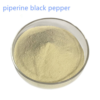 Black Pepper Health Food Piperine Powder 98% Pure Plant Extracts