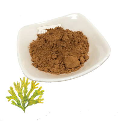 Dried Pure Plant Extracts Organic Irish Sea Moss Extract 10/1 100/1