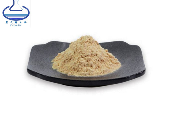 Ginsenoside 20% Pure Coenzyme Q10 Panaxoside Ginseng Extract CAS 11021-14-0