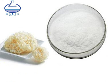 Natural Tremella Fuciformis Pure Plant Extracts Snow Fungus Powder