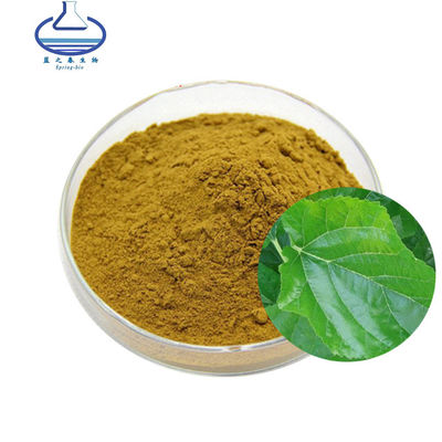 Natural Mulberry Leaf Extract 10%~50% Polysaccharide Powder