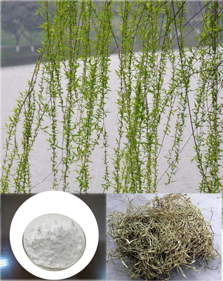 Pure Natural White Willow Bark Extract Salicin Powder CAS 138-52-3