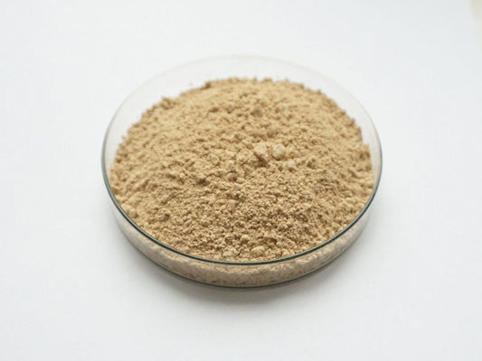 40% 80% Soybean Extract Powder Soy Isoflavones Herbal Extract