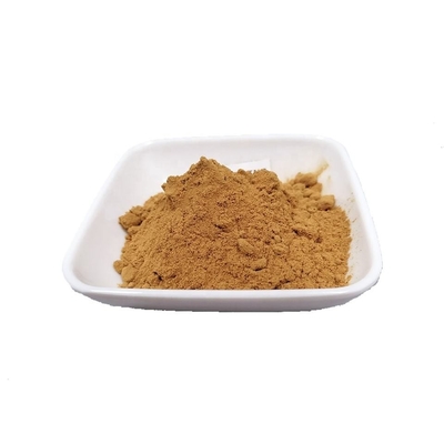 Pure Coleus Forskohlii Extract 20% Forskolin Pure Plant Extracts