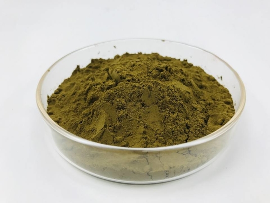 Organic 10% 40% Turkesterone Ajuga Turkestanica Pure Plant Extracts