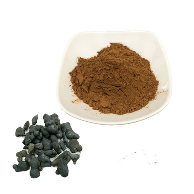 Fresh Finger Black Ginger Root Extract Powder Pure Plant Extracts