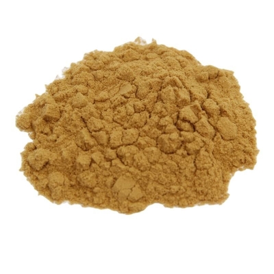 Organic HPLC Lion's Mane Mushroom Extract Pure Plant Extracts