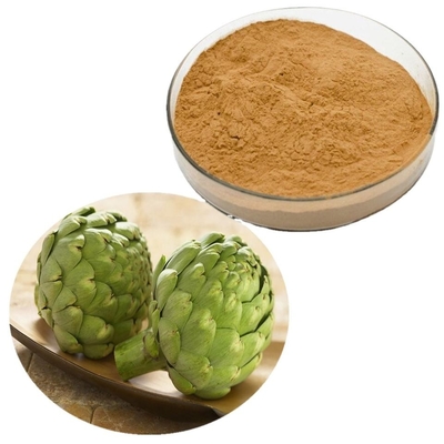 Food Artichokes Spain Artichoke Extract Powder Pure Plant Extracts