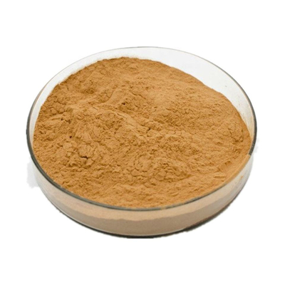 Food Artichokes Spain Artichoke Extract Powder Pure Plant Extracts