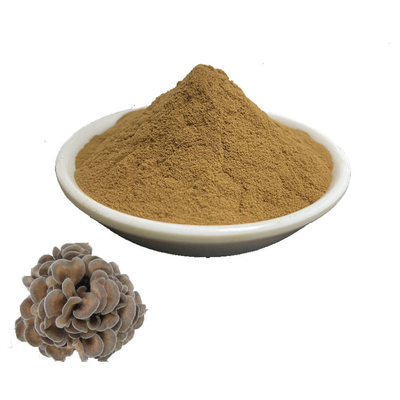 Organic Pure Plant Extracts Maitake Mushroom Extract Powder