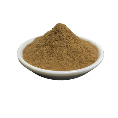 Organic Pure Plant Extracts Maitake Mushroom Extract Powder