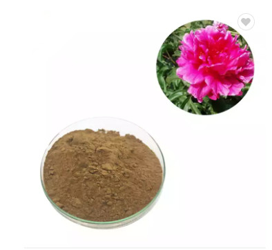 Food Grade Rhamnus Frangula Extract Powder Pure Plant Extracts