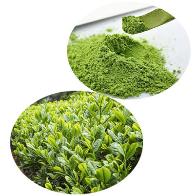 Health Pure Plant Extracts Tea Sweet Matcha Organic Green Tea Powder