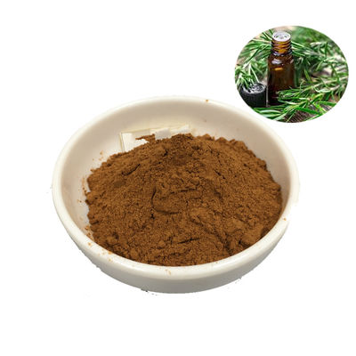 10/1 3650-09-7 Pure Plant Extracts Pure Natural Rosemary Extract