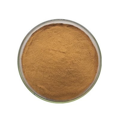 Raw Pure Plant Extracts Seaweed Burdock Extract Powder 10/1