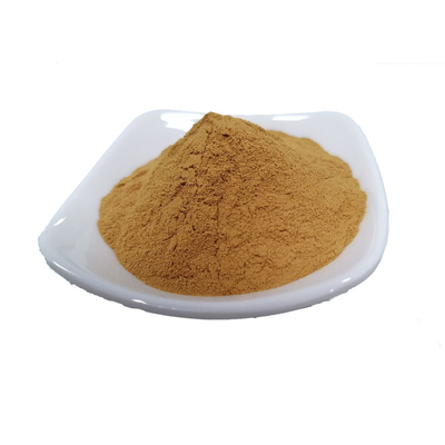 Raw Pure Plant Extracts Seaweed Burdock Extract Powder 10/1
