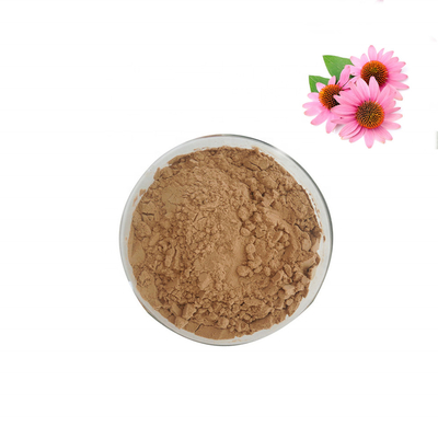 Natural Pure Plant Extracts 4% Polyphenols Echinacea Purpurea Powder