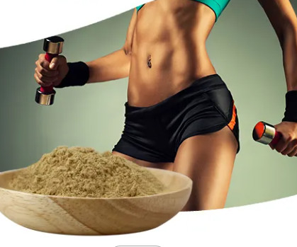 beta ecdysterone powder  98% 20-Hydroxyecdysone Pure Plant Extracts