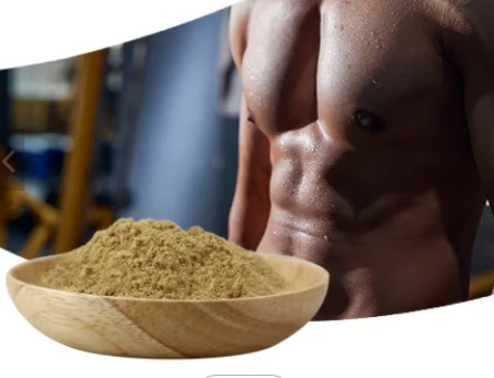 beta ecdysterone powder  98% 20-Hydroxyecdysone Pure Plant Extracts