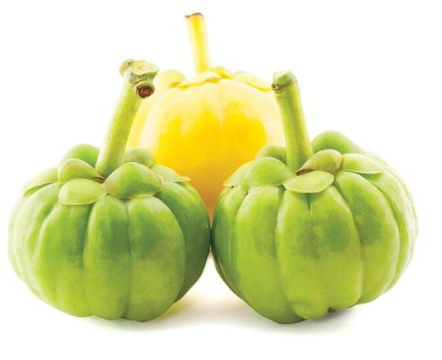 Factory supply bulk Food Grade Garcinia Cambogia extract Powder