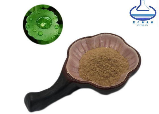 Gotu Kola Pure Plant Extracts 45% Centella Asiatica Extract Asiaticoside