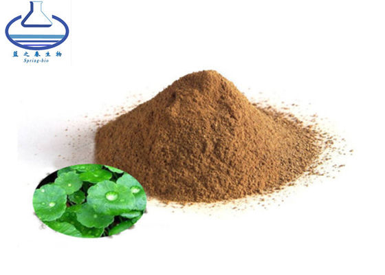 Gotu Kola Pure Plant Extracts 45% Centella Asiatica Extract Asiaticoside