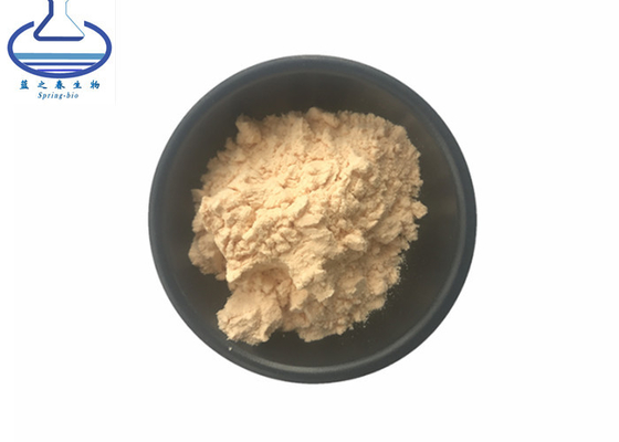 Ginsenoside 20% Pure Coenzyme Q10 Panaxoside Ginseng Extract CAS 11021-14-0