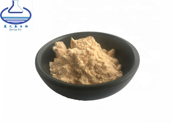 Ginsenoside 20% Pure Coenzyme Q10 Panaxoside Ginseng Extract CAS 11021-14-0