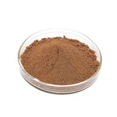 Natrual Weight Loss Chlorogenic Acid 60% Green Coffee Bean Extract Powder