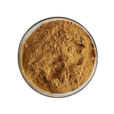 Natrual Weight Loss Chlorogenic Acid 60% Green Coffee Bean Extract Powder